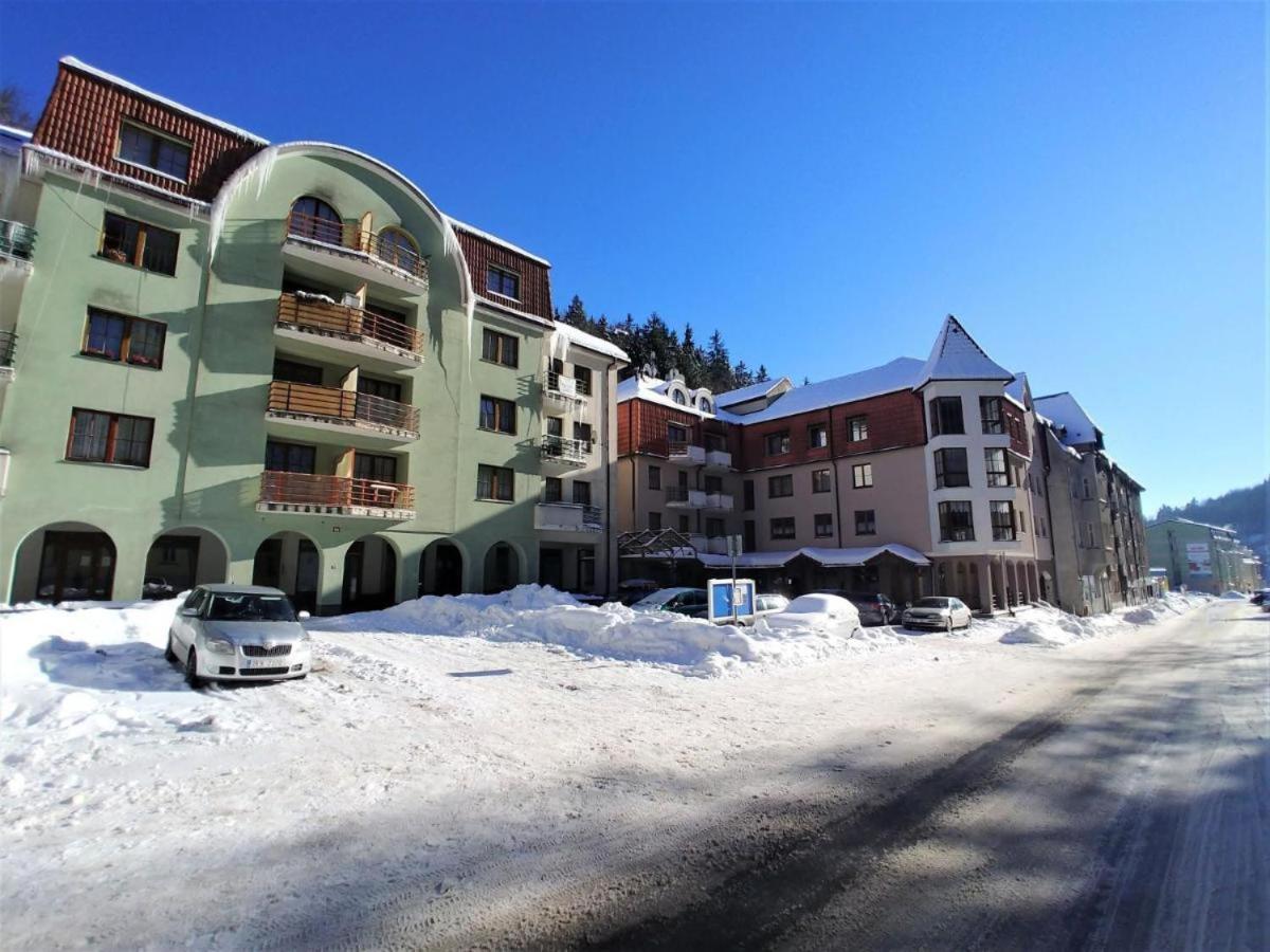 Apartman U Lanovky 亚希莫夫 外观 照片